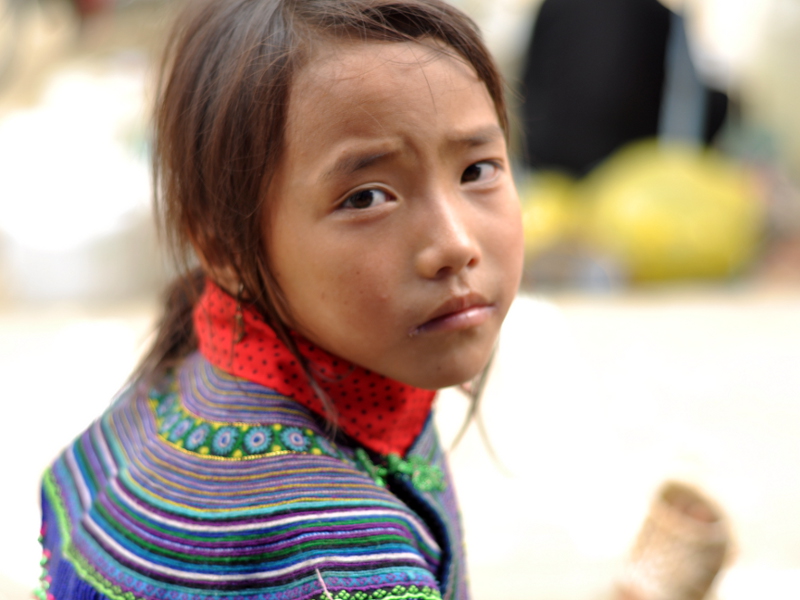 Hmong fleurs Sapa Vietnam Tour